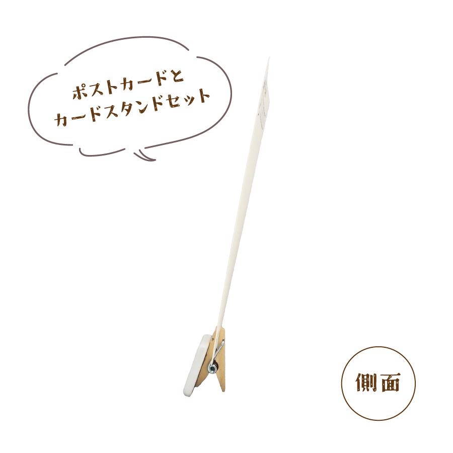 ギフトセット_ポストカードセット側面