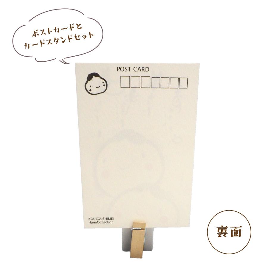 ギフトセット_ポストカードセット裏面