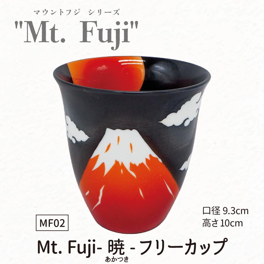 f02富士フリーカップ