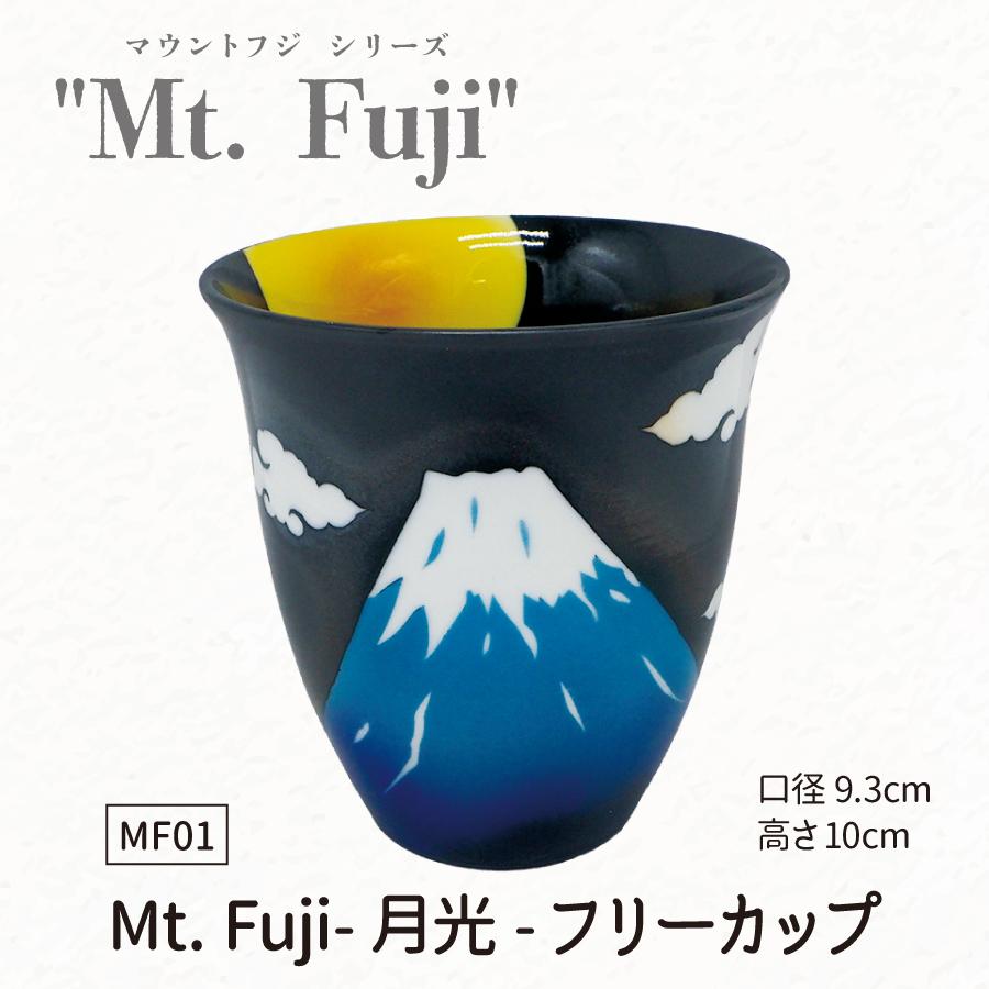 f01富士フリーカップ