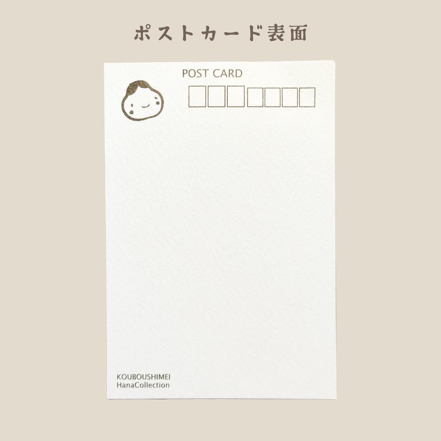 ポストカード表面