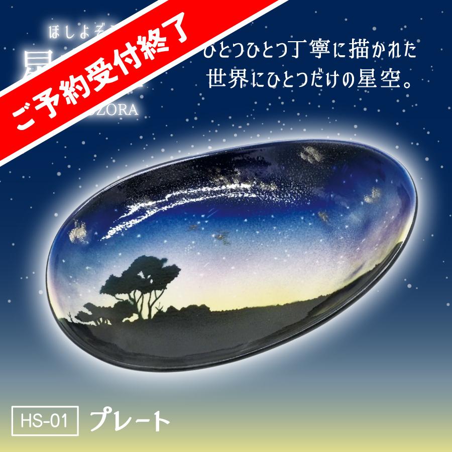 陶器市2025_星夜空プレートus