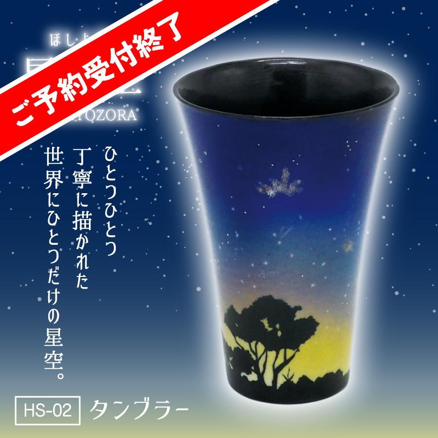 陶器市2025_星夜空タンブラーus