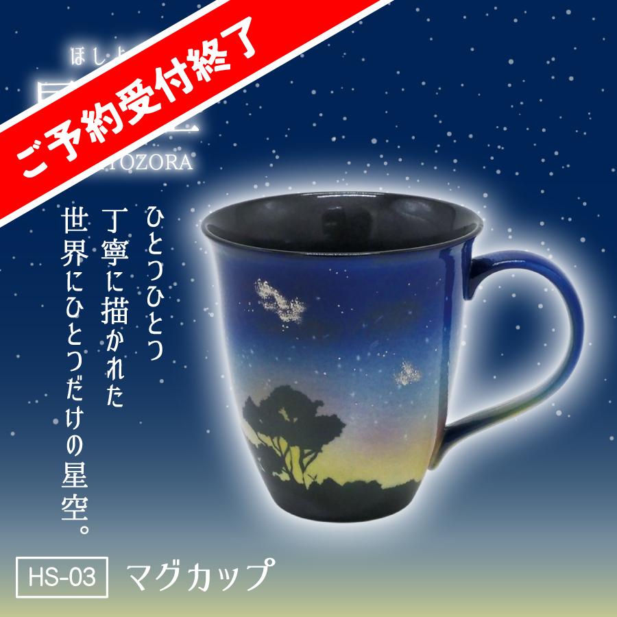 陶器市2025_星夜空マグカップus